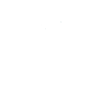 RetireMed Free Guides